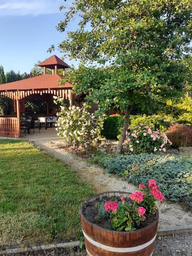 Apartament Ani Vendeghaz Egerszalók Zewnętrze zdjęcie